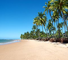 Viagem_outubro_brasil