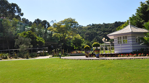 Pacotes unique Resort