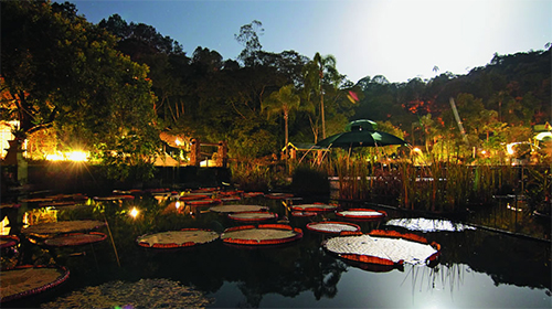 Pacotes unique Resort