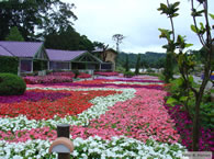 Unique Garden Hotel & Spa